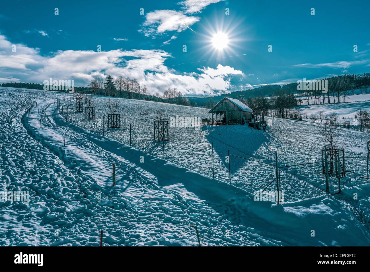Agricultural game keeping in winter. Stock Photo