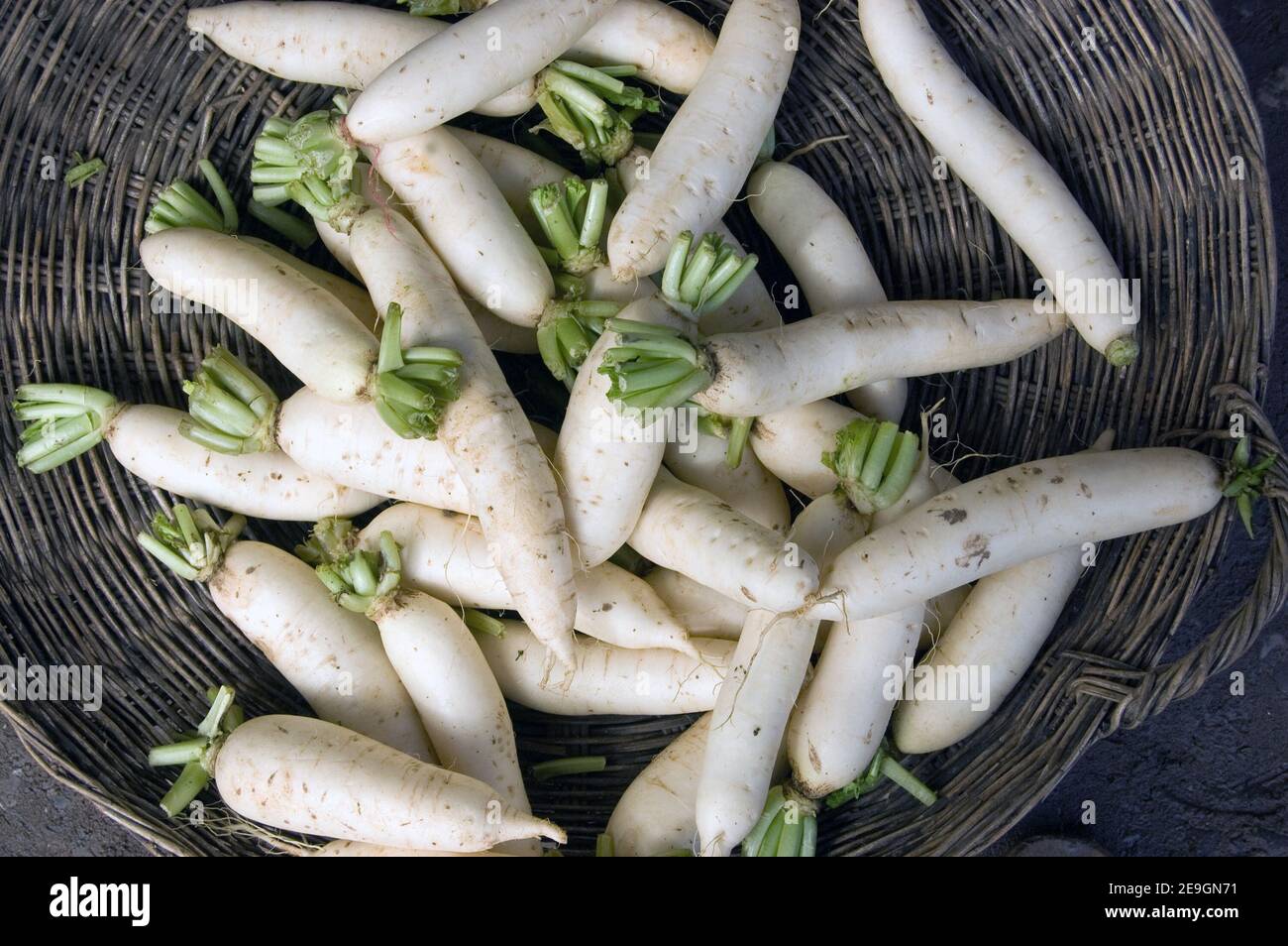 Mooli radishes hires stock photography and images Alamy