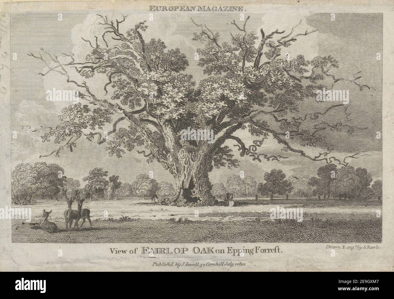 george sewell high resolution stock photography and images alamy