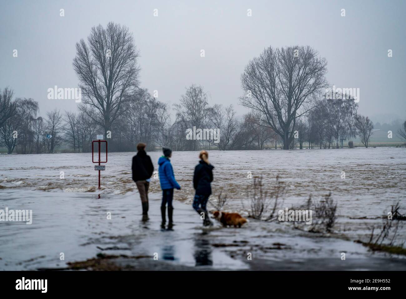 High water on the Rhine near Düsseldorf-Kaiserswerth, foggy weather, riverside paths and Rhine meadows are partly flooded, the Rhine ferry has stopped Stock Photo