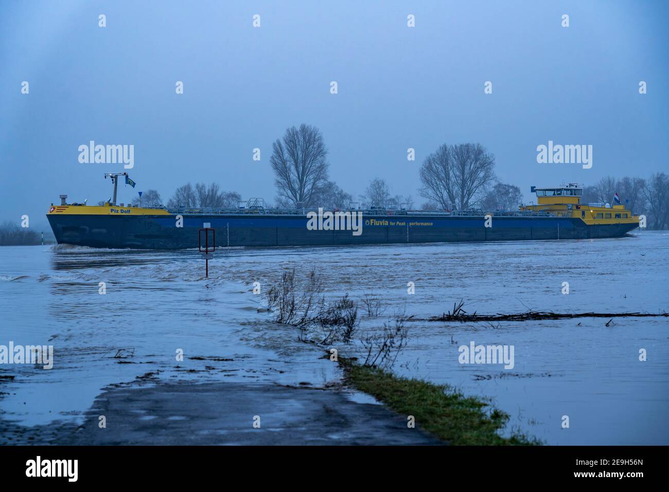 High water on the Rhine near Düsseldorf-Kaiserswerth, foggy weather, riverside paths and Rhine meadows are partly flooded, the Rhine ferry has stopped Stock Photo