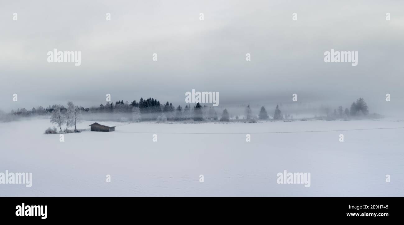 Panorama of beautiful foggy winter landscape with frozen trees and wooden house Stock Photo
