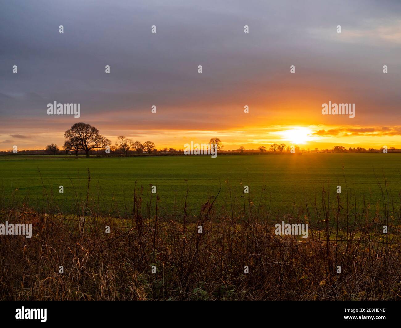 Orange sunset behind an open green cultivated field at Bishopthorpe, North Yorkshire, England Stock Photo