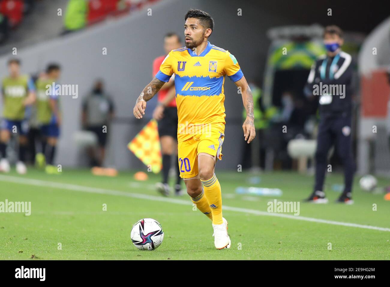 Tigres uanl hi-res stock photography and images - Alamy