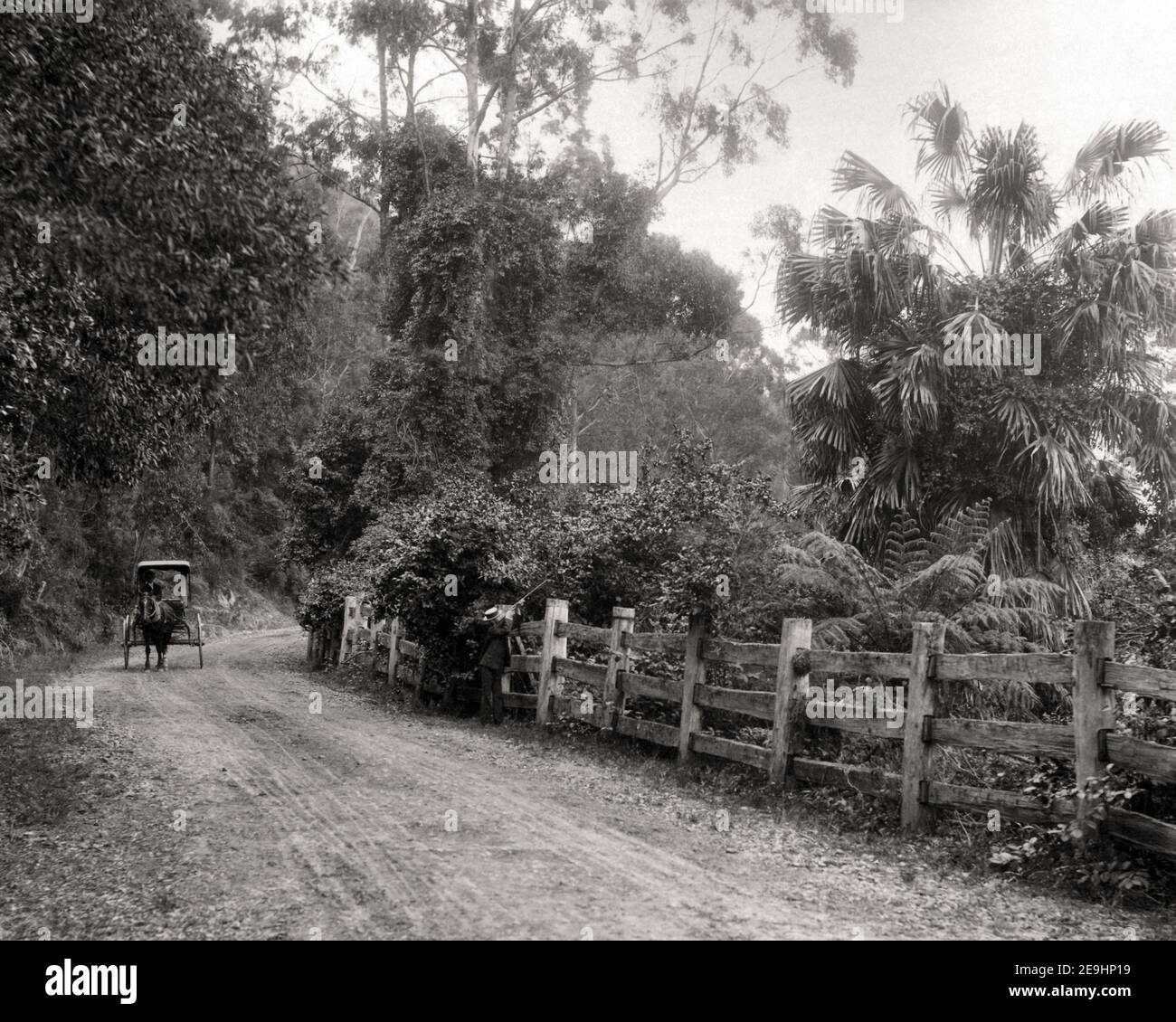 Late 19th century photograph - Bulli Pass, Illawarra District NSW, Australia Stock Photo