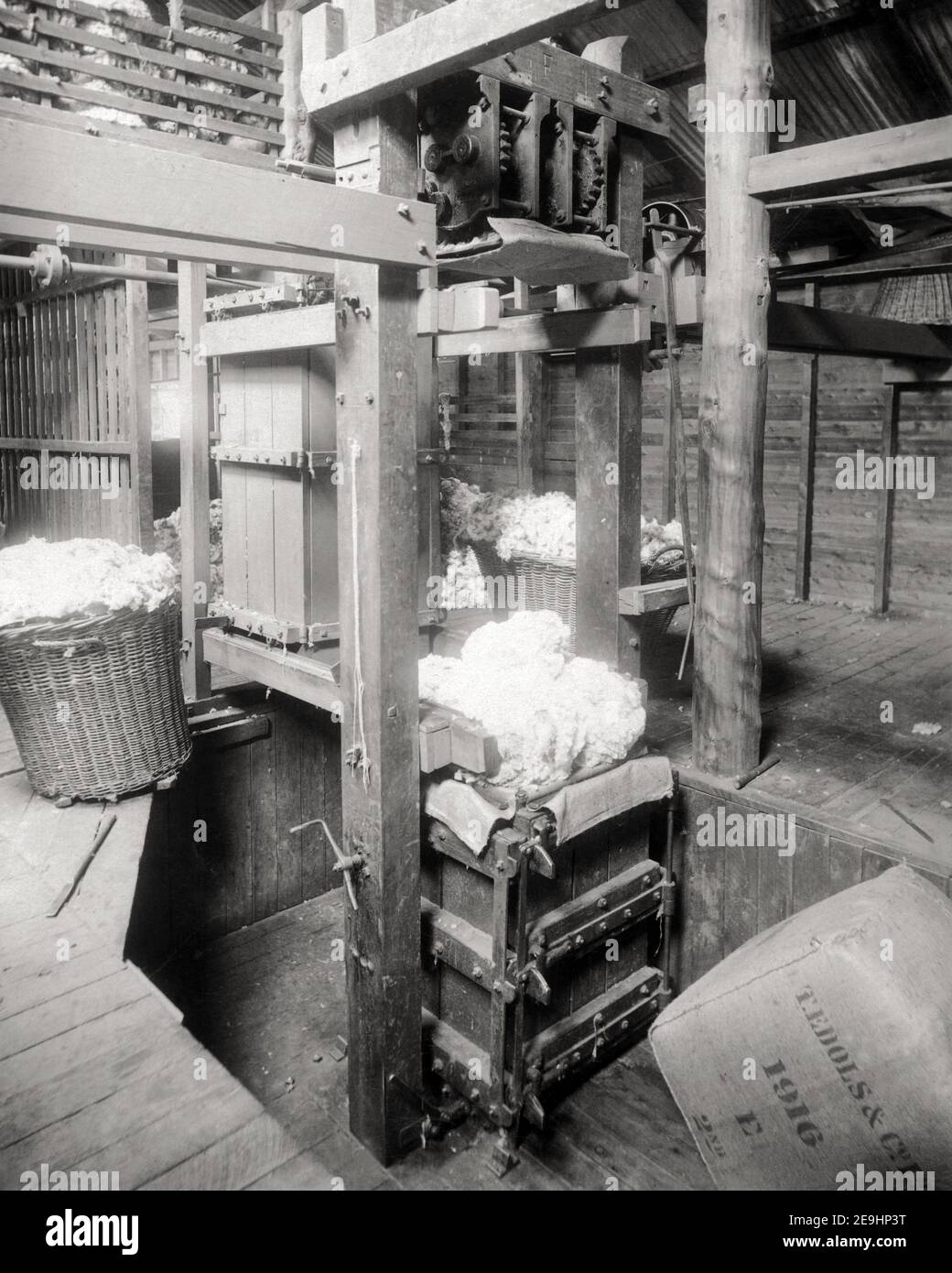 Late 19th century/1900 's photograph - Baling Fleeces, Shearing Shed ...