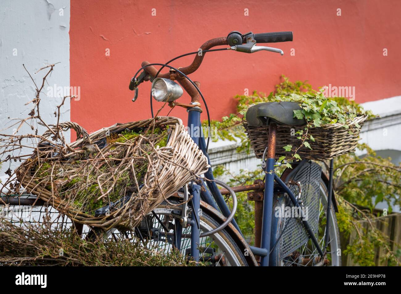 Overgrown bike on Claus Frimanns gate, Nøstegaten, Nøstet, Bergen, Norway. Stock Photo