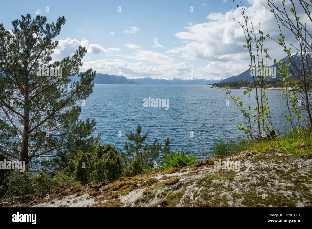 Sognefjoden, from Torvundsvika inlet, Norway Stock Photo - Alamy