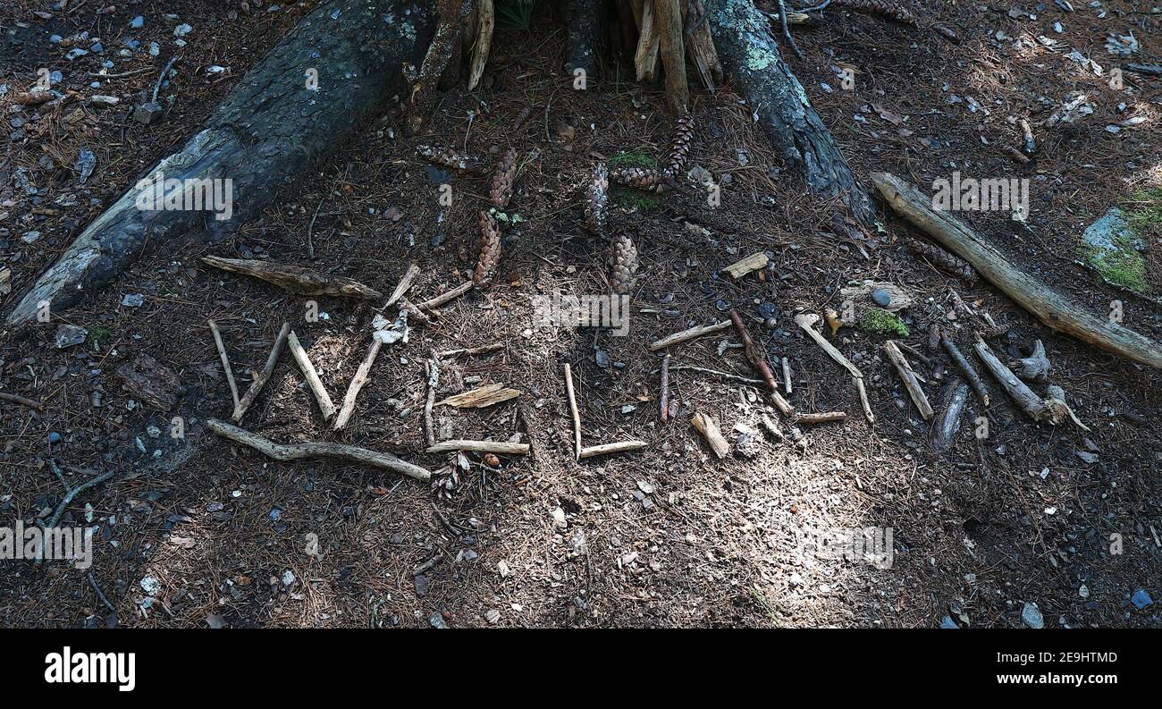 Welcome message written out in twigs. Stock Photo