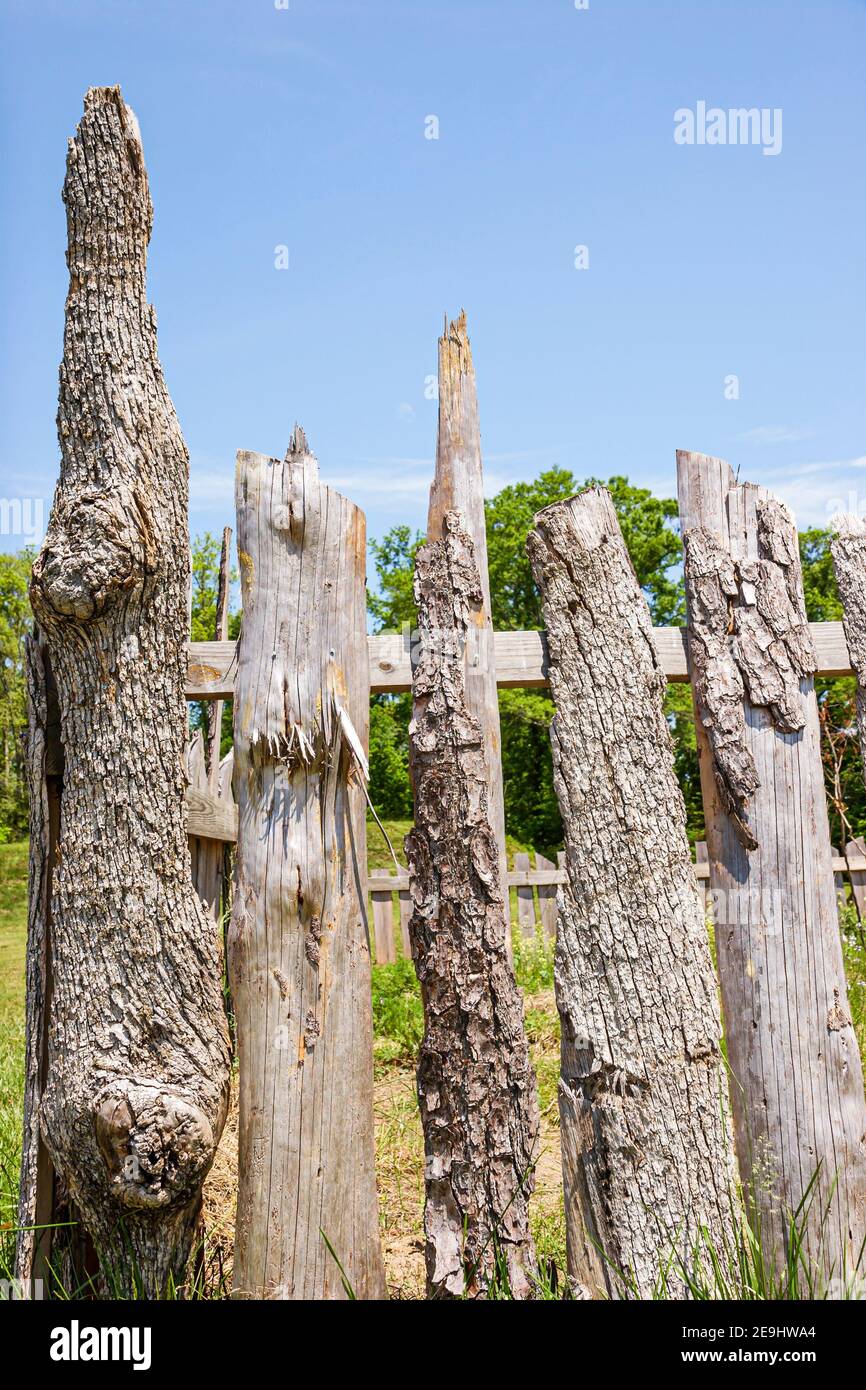 Alabama Moundville Archaeological Park Site,Middle Mississippian Era culture Native American Indian,historical village museum platform mound mounds fe Stock Photo