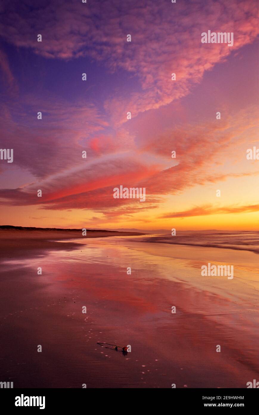 Sunset at California's Moss Landing State Beach illuminates a rose on the shore Stock Photo
