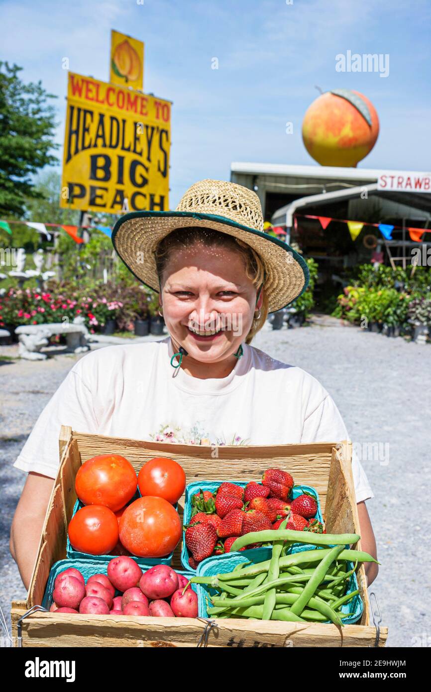 Alabama Clanton Headley's Fresh Fruits & Vegetables,local produce roadside owner woman female couple business, Stock Photo