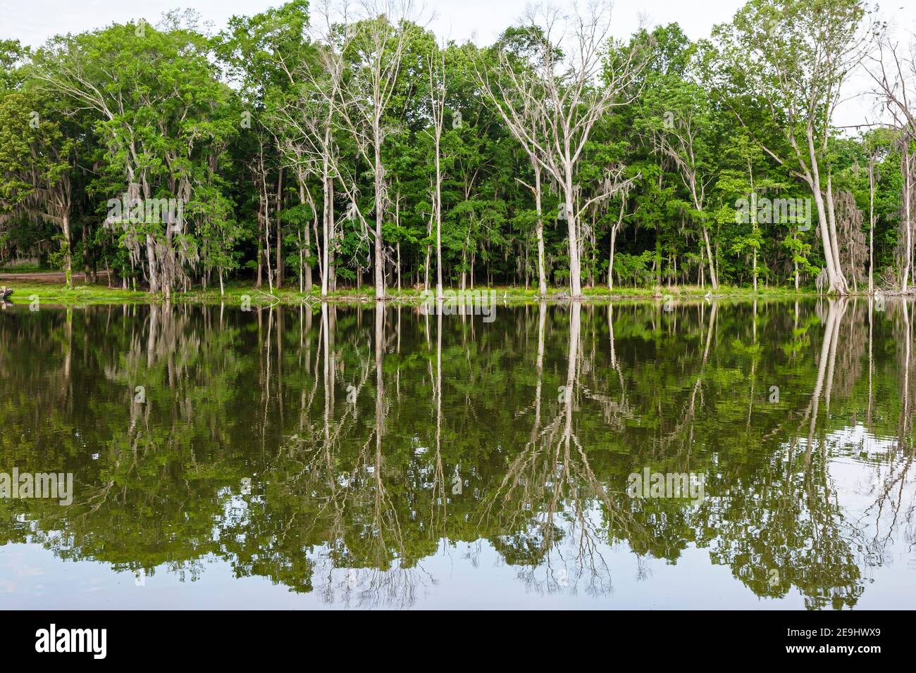 Alabama Montgomeery Pike Road The Waters planned community lake trees, Stock Photo