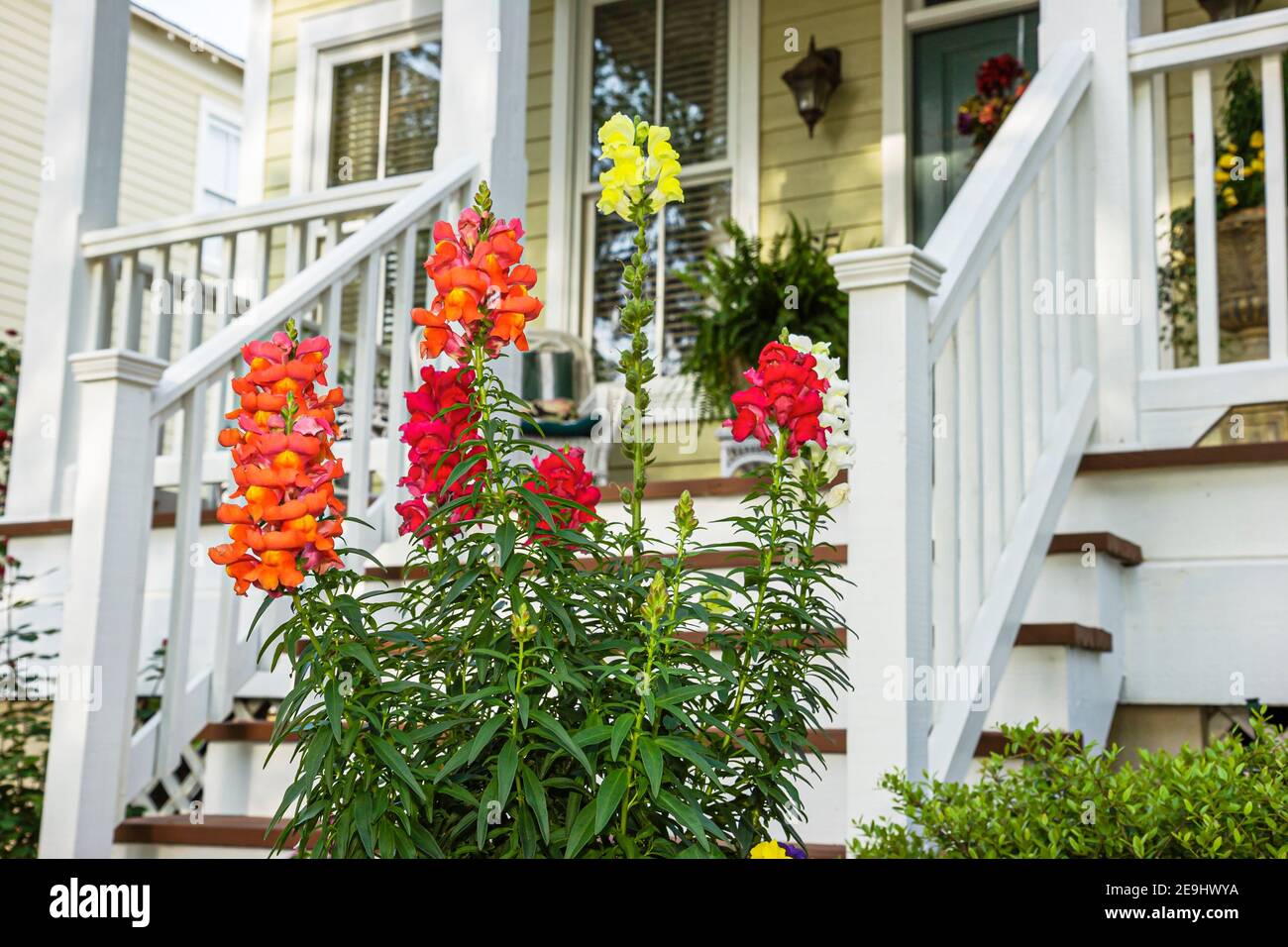 Alabama Montgomeery Pike Road The Waters planned community homes,traditional Americana architecture porch front entrance exterior flowers, Stock Photo