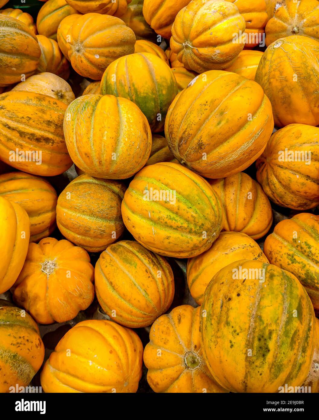 golden canary melon golden canary melon