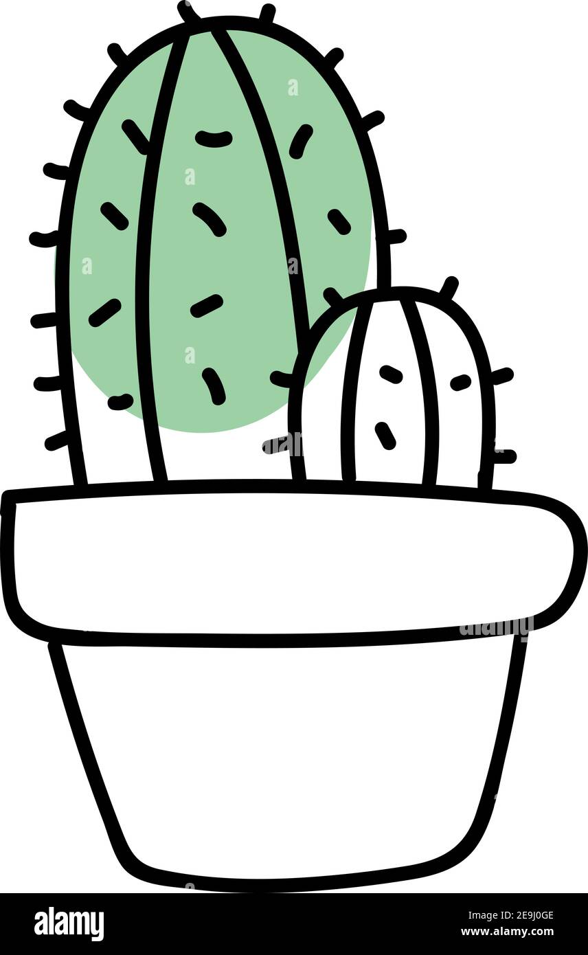 Two cactuses in a pot, illustration, vector on white background. Stock Vector