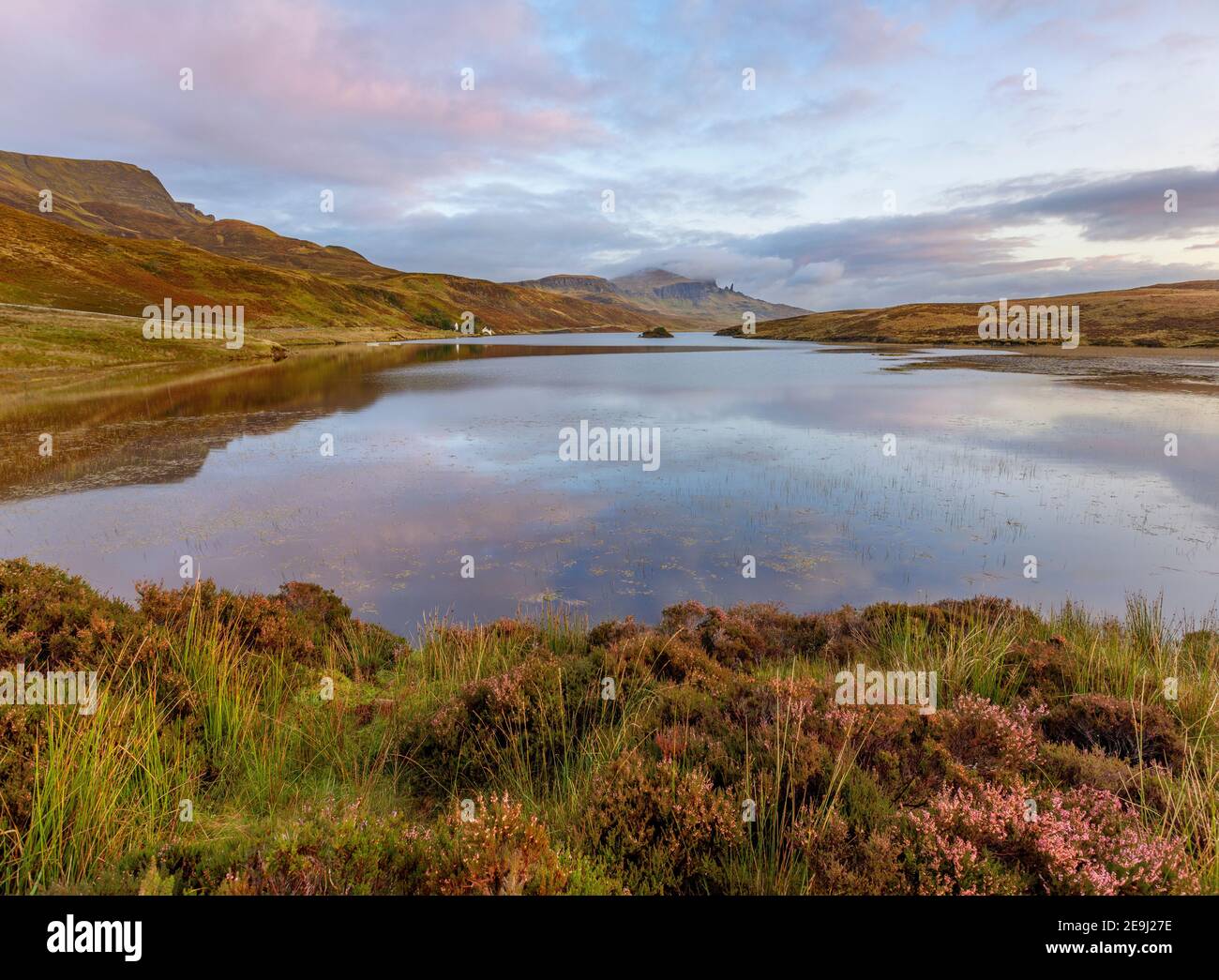 Isle of Skye, Scotland: Sunrise light and clouds reflecting in Loch Fada with heather blooming on the shoreline and the iconic Old Man of  Storr in th Stock Photo