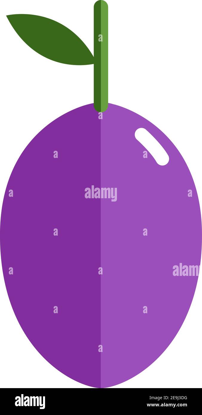 Purple plum, illustration, vector on white background. Stock Vector
