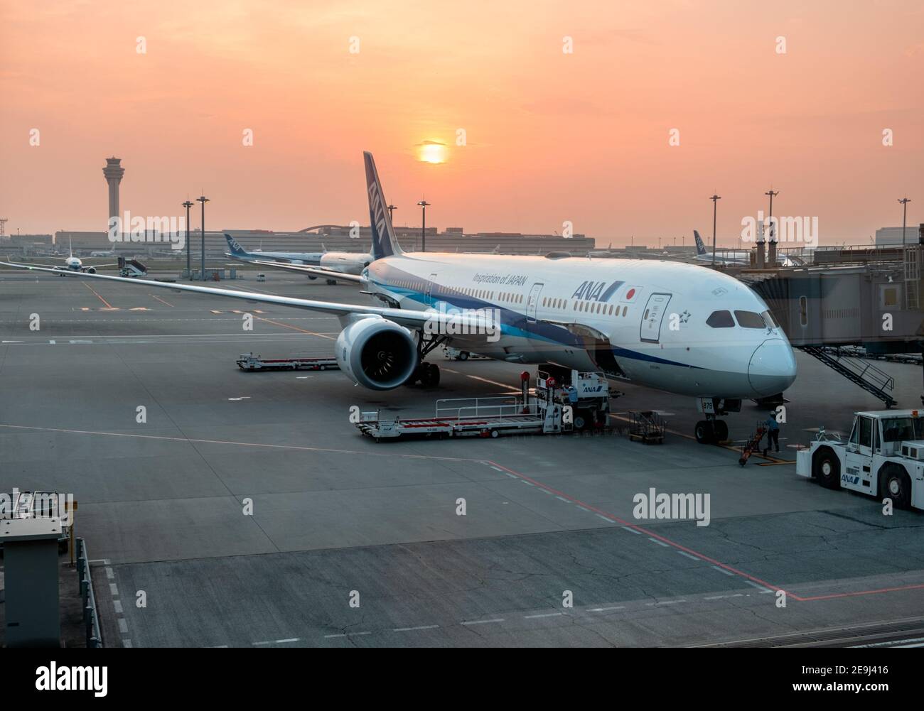 ANA airplane getting ready at Narita Airport in Tokyo, Japan. Early morning with a red sunrise. Stock Photo