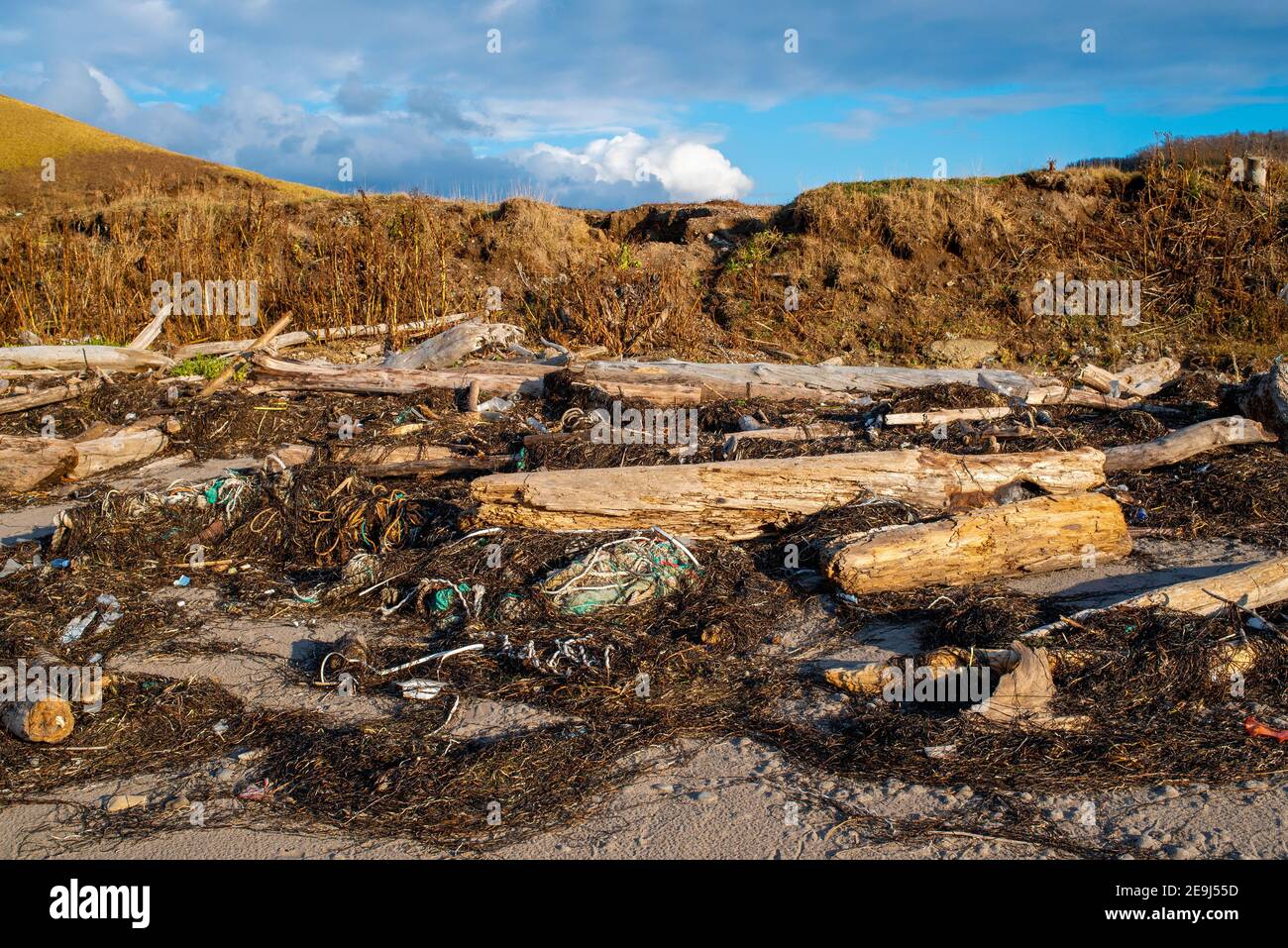 Plastic pollution. Plastic and wastes trash pollute the beach. Old trees and garbage washed ashore after the storm. Stock Photo
