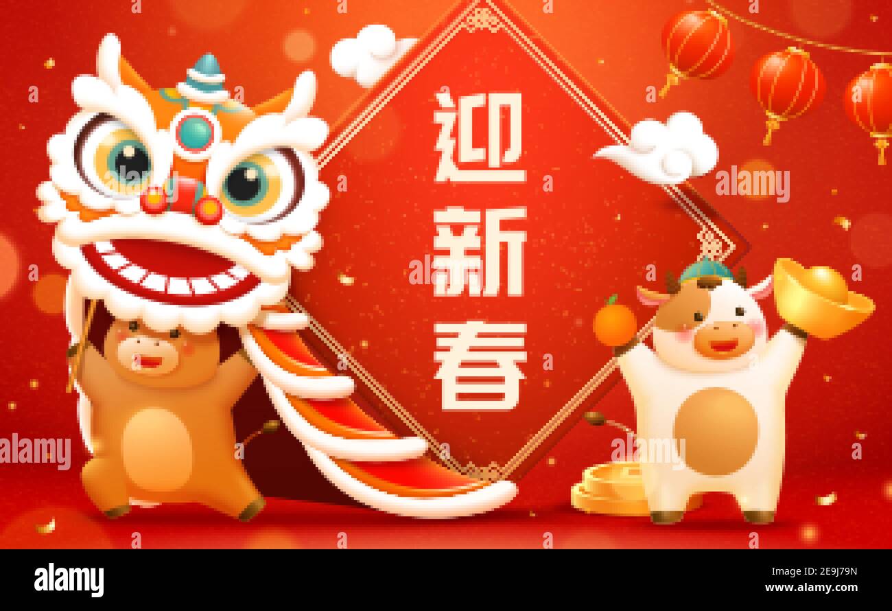 CNY cute baby cows playing lion dance illustration, Happy New Year written in Chinese text on giant doufang Stock Vector