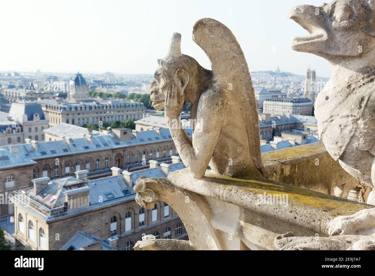 Paris, France Pensive dragon gargoyle on the Notre Dame Cathedral  overlooking the rooftops of Paris Stock Photo - Alamy