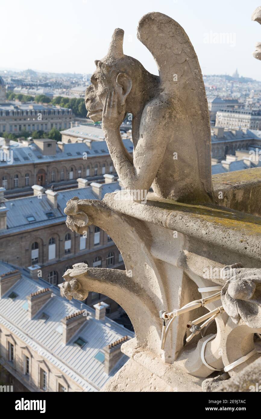 Paris, France Pensive dragon gargoyle on the Notre Dame Cathedral  overlooking the rooftops of Paris Stock Photo - Alamy