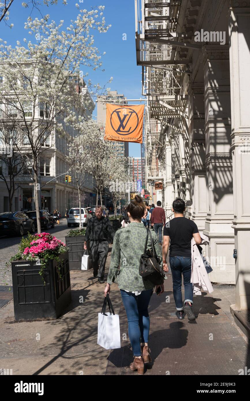 Louis Vuitton Bag In New York City Ny
