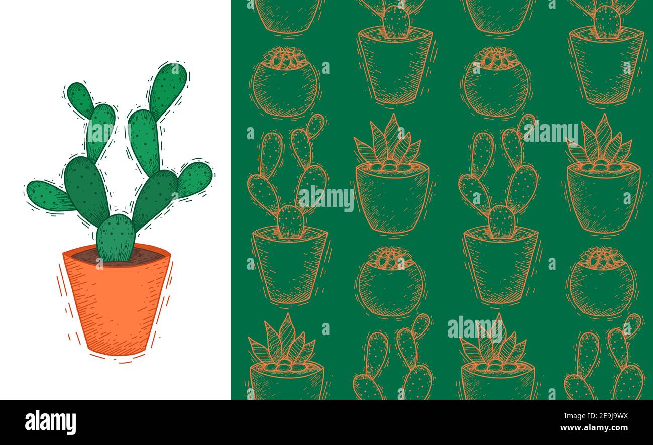 Cactus Leaf Patterns High Resolution Stock Photography And Images Alamy