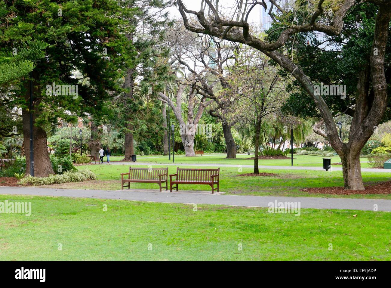 Park benches in a park in Perth, Western Australia Stock Photo - Alamy