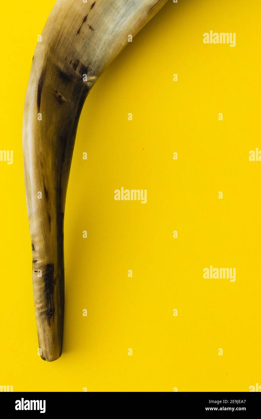 Shofar horn hires stock photography and images Alamy