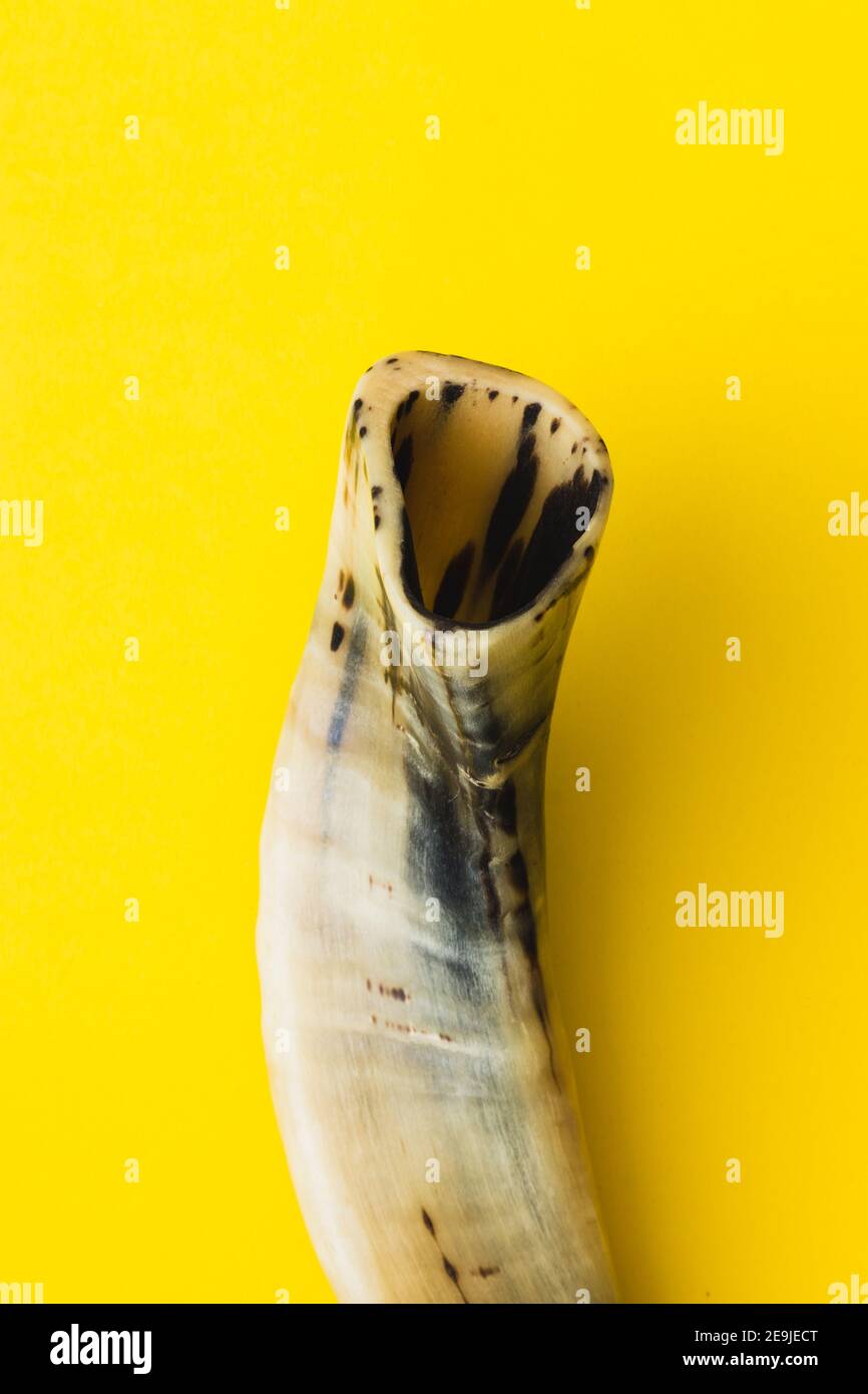 Shofar horn hires stock photography and images Alamy