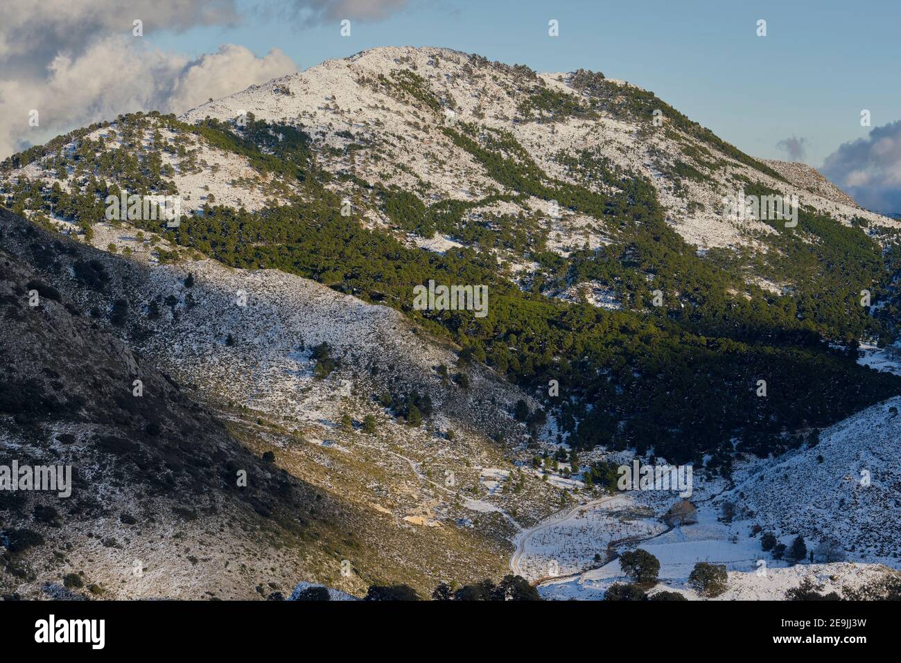 Abanto mountain of Parauta in the Sierra de las Nieves (snowy sierra) national park in Malaga. Andalusia, Spain. Stock Photo