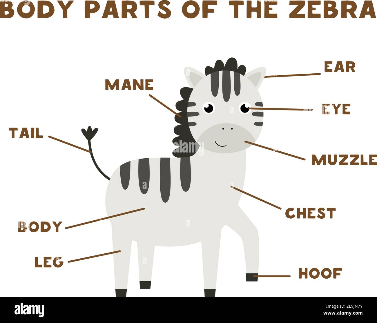 Body parts of the cute zebra. Animals anatomy in English for kids. Learning words Stock Vector