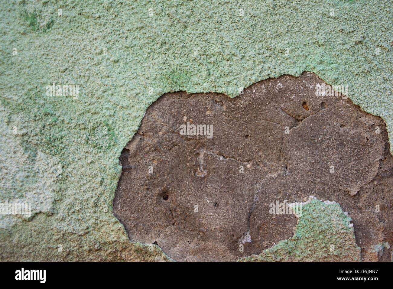 texture of old green facade Stock Photo - Alamy - Textured Green Facade