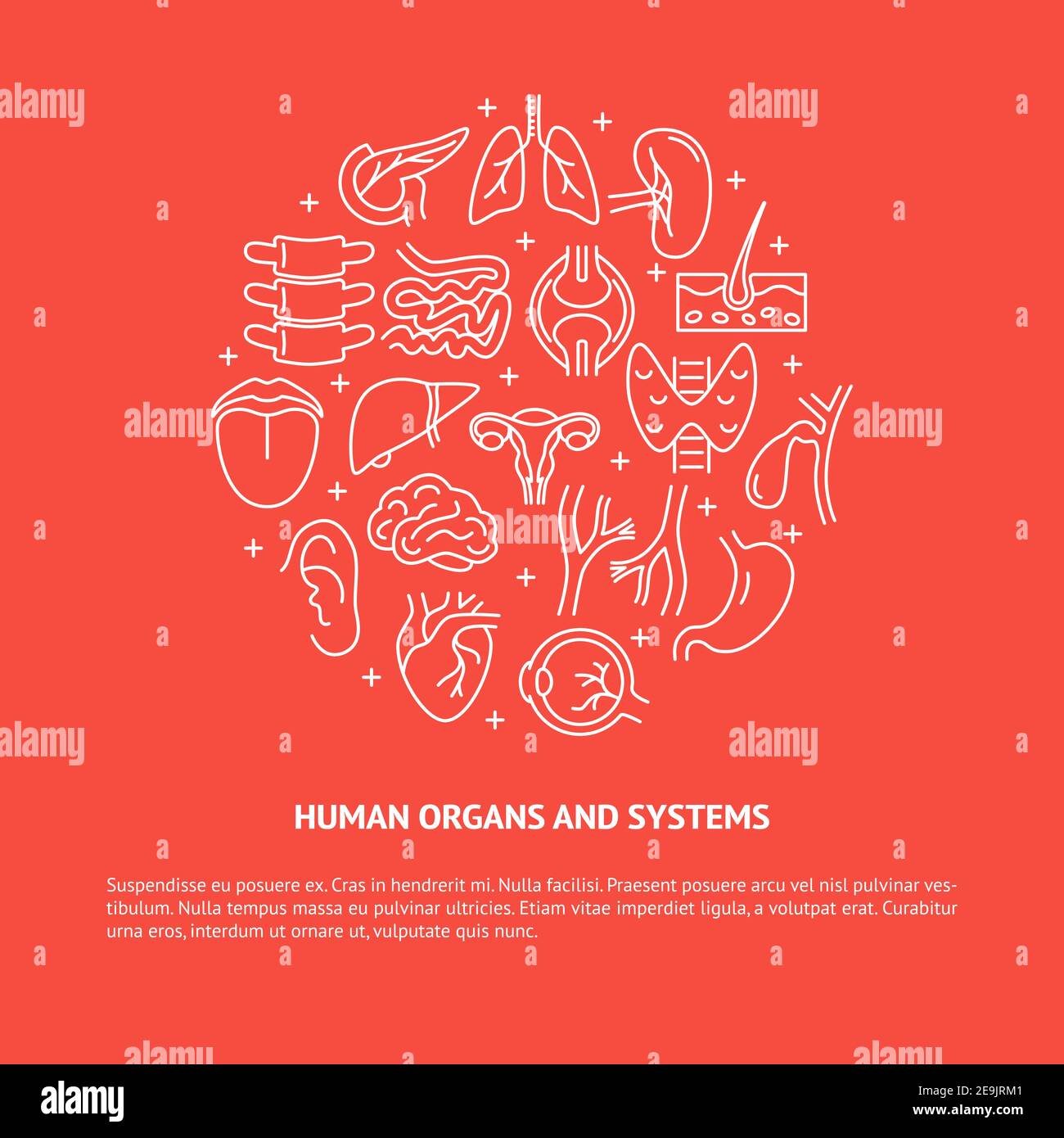 Anatomy round banner with human organs and place for text. Medical ...