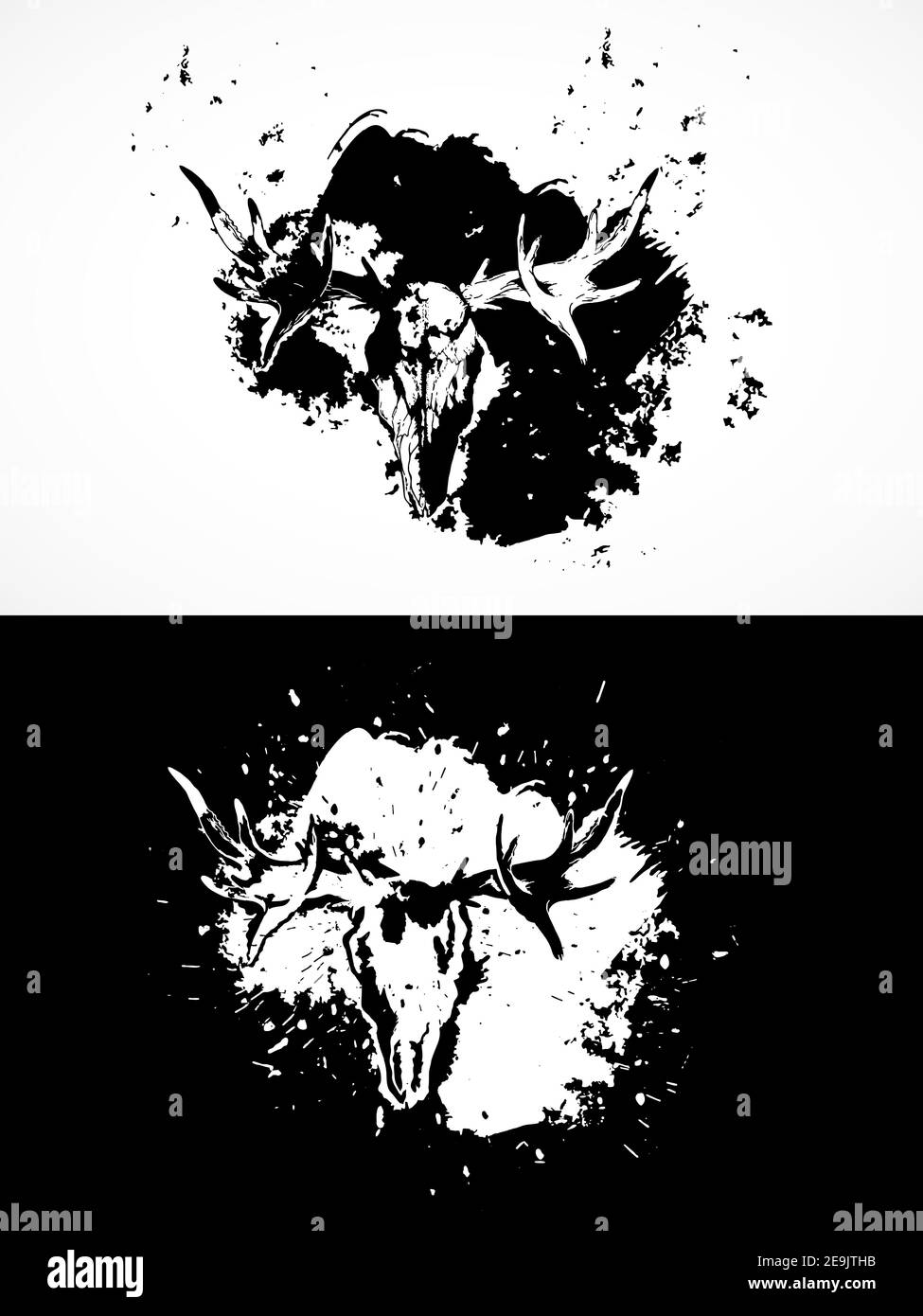 Vector illustration with moose skulls. Two variants: black and white ...