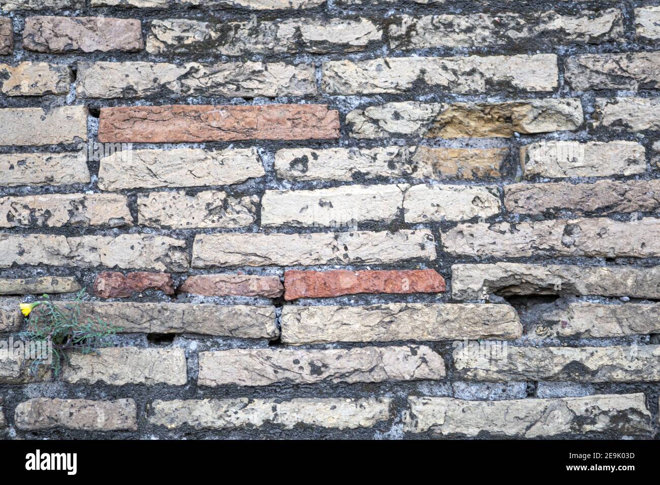 Closeup shot of a brick wall in ancient Rome, Italy. Perfect for ...