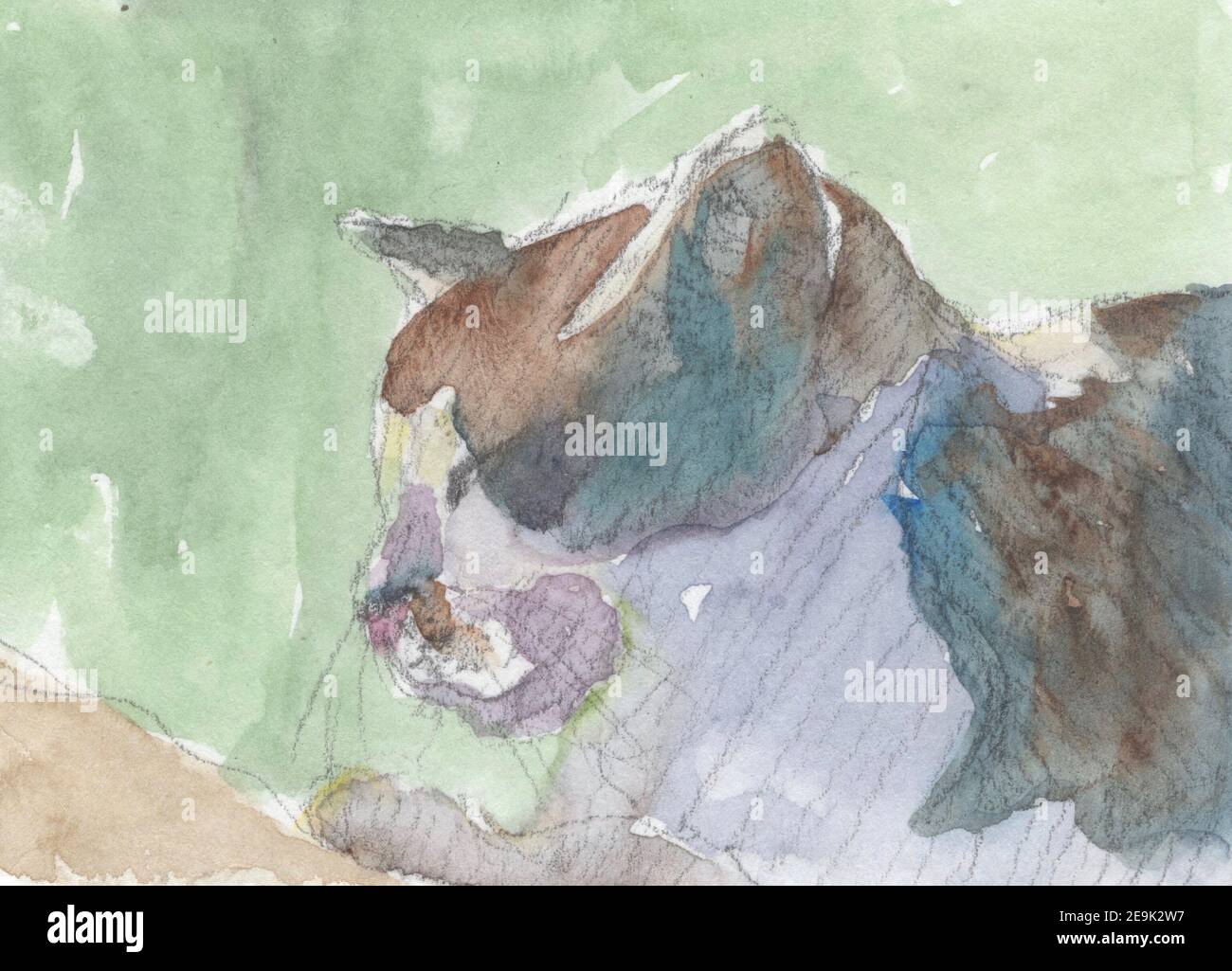 cat watercolor sketch painting Stock Photo - Alamy