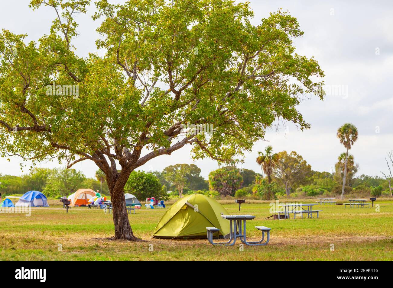 Tents in the camping in green meadow, Florida, USA Stock Photo - Alamy