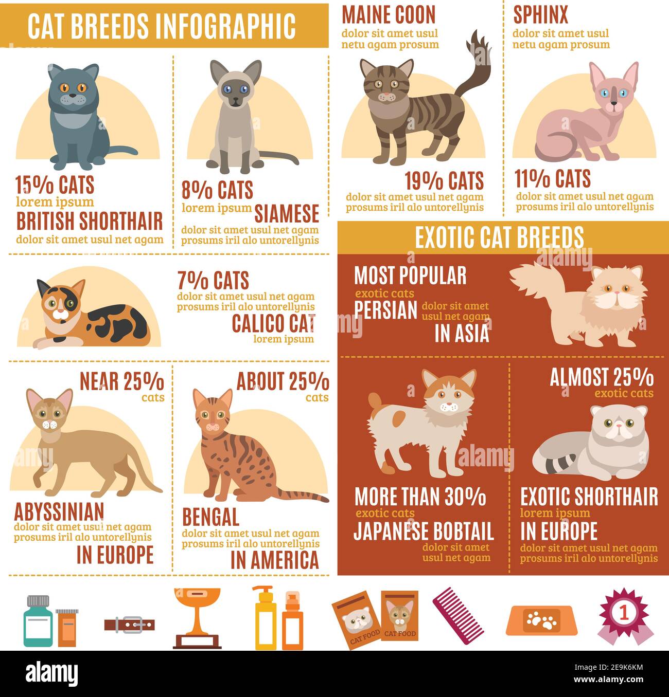 Cats infographics set with exotic breed icons and pet care elements vector illustration Stock Vector