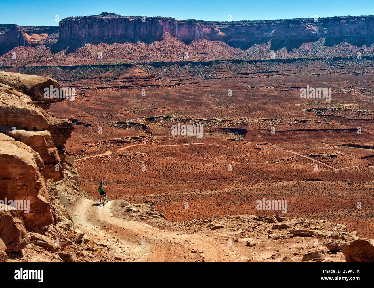 Woman mountain biker on White Rim Road, at Murphy Hogback, Murphy Point cliffs in distance, Canyonlands National Park, Utah, USA Stock Photo