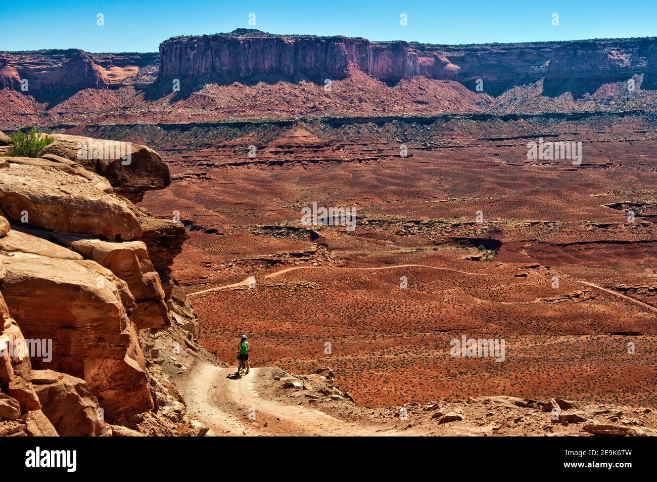 Woman mountain biker on White Rim Road, at Murphy Hogback, Murphy Point cliffs in distance, Canyonlands National Park, Utah, USA Stock Photo