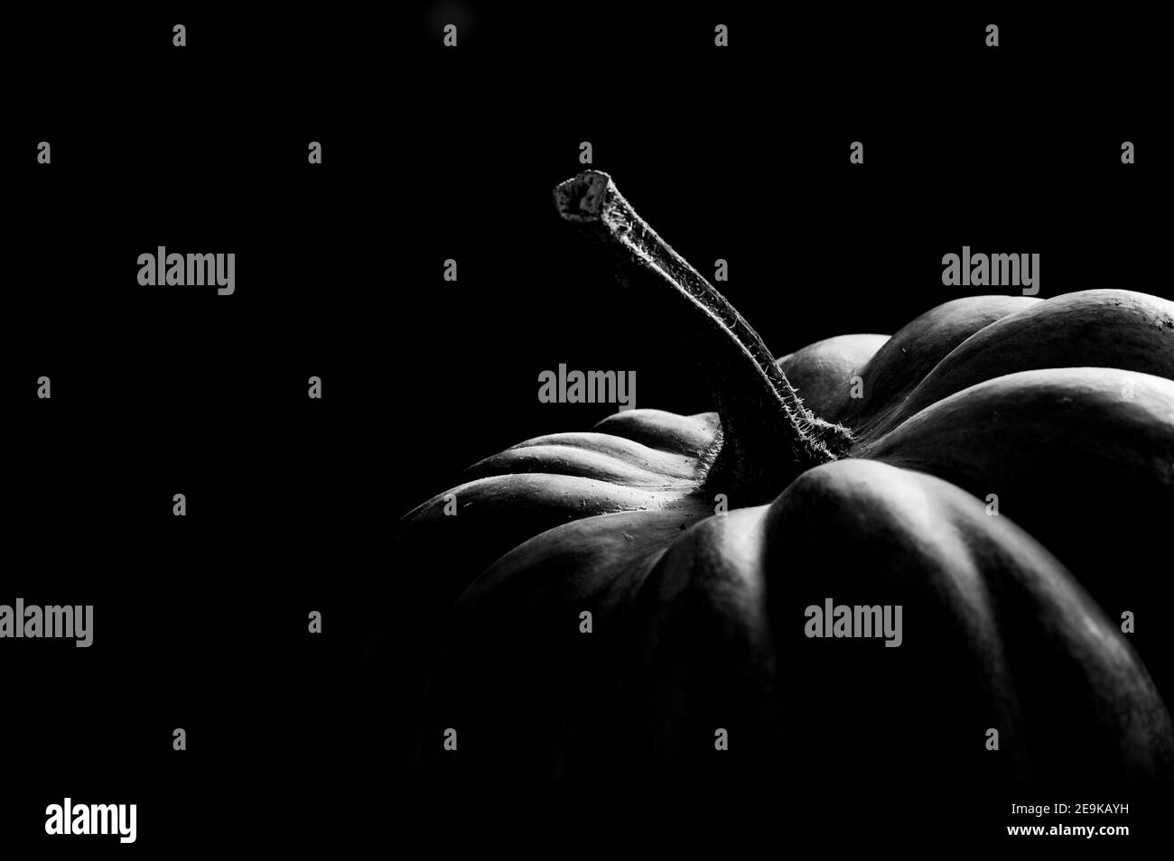 Black and white pumpkin close-up Stock Photo