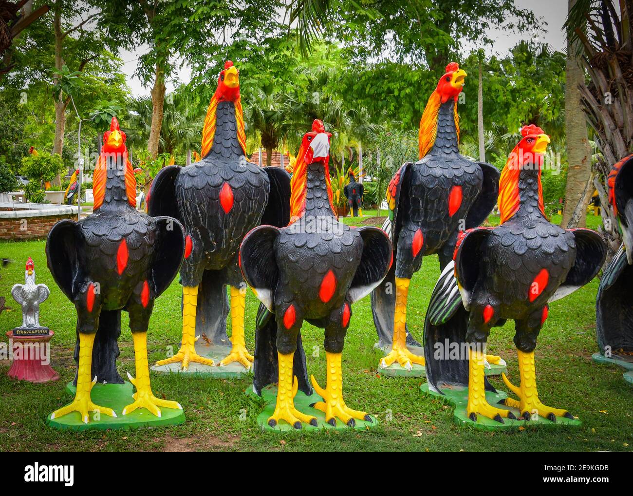 Rows of socially distanced large rooster statues in a buddhist temple complex in Thailand. One of the roosters is wearing a surgical facemask as requi Stock Photo