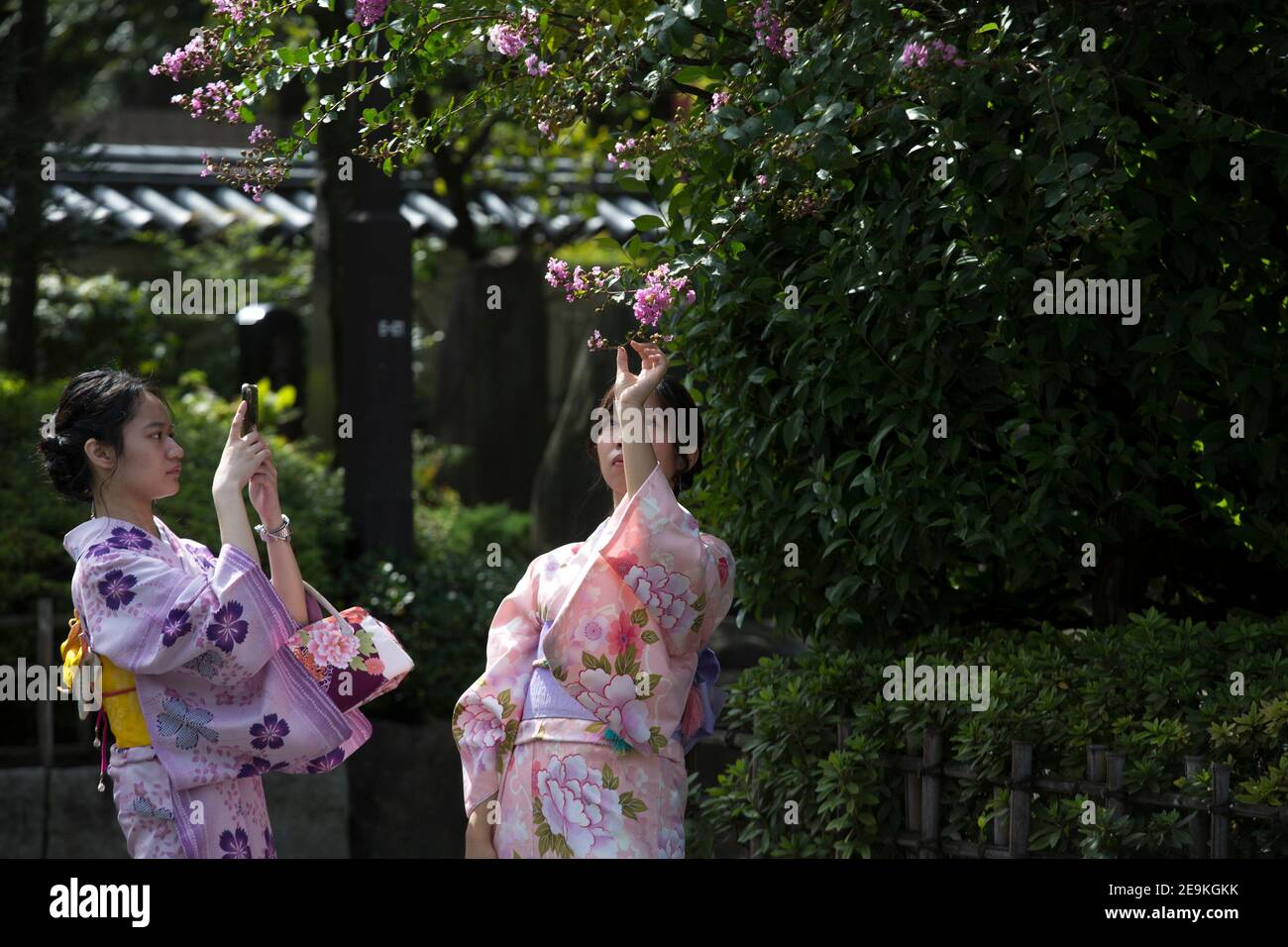 Japanese tourists in Tokyo with traditional japanese dress. Stock Photo