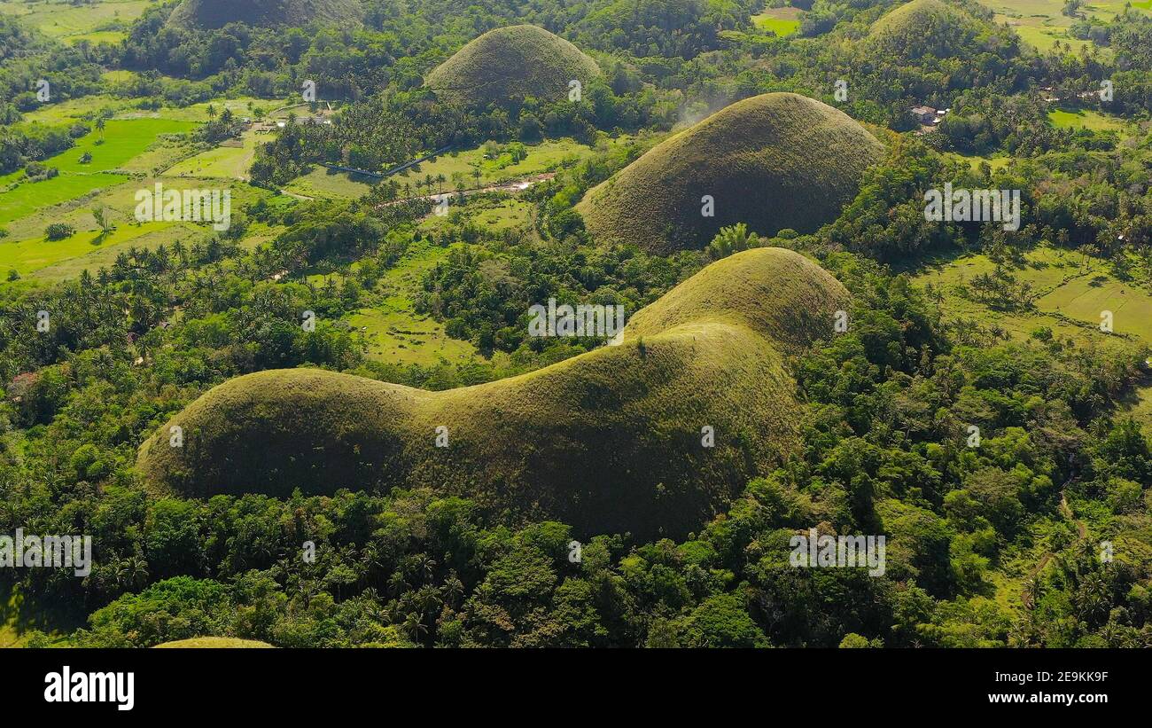 Aerial drone of the chocolate hills, a famous tourist destination on