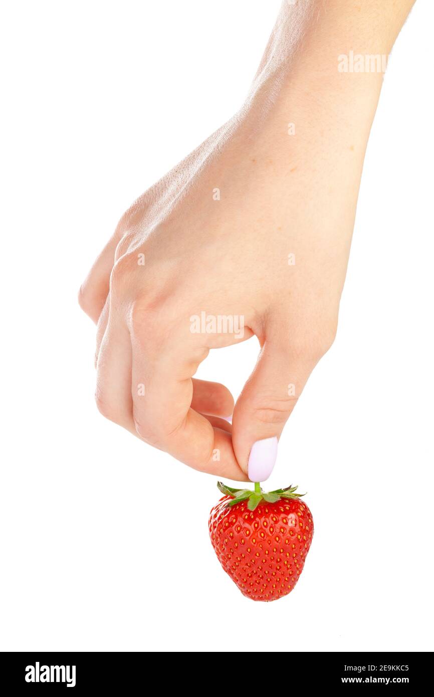hand holding a strawberry isolated on white background Stock Photo - Alamy