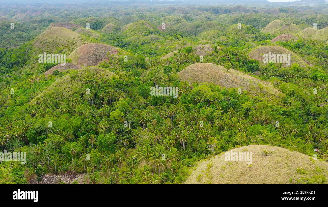 Famous Chocolate Hills natural landmark, Bohol island, Philippines