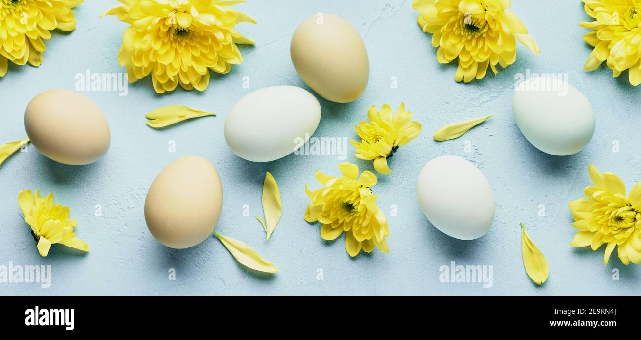 Easter concept. Eggs and yellow chrysanthemums flowers on blue background. Mock up. Spring Happy Easter holiday card. Top view. Stock Photo